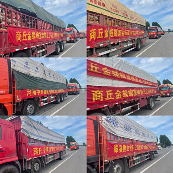 202107301540563606 中国·EWC电竞(有限公司)官方网站-World Endurance Championship